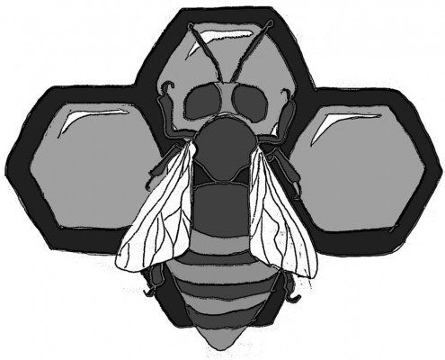 API