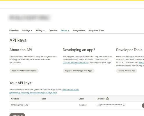 Come Creare Una Chiave Api Su Mailchimp