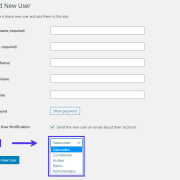 Come Creare Un Ruolo Su Wp E Assegnargli Dei Permessi