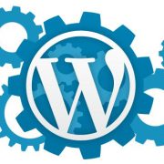 Come Limitare I Menù Di Amministrazione Wp Per Un Certo Ruolo