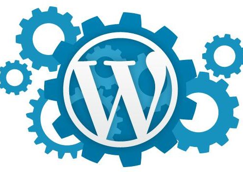 Come Limitare I Menù Di Amministrazione Wp Per Un Certo Ruolo