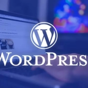 Wordpress – Come Ritardare Il Caricamento Di Un File Js Per Questioni Di Velocità