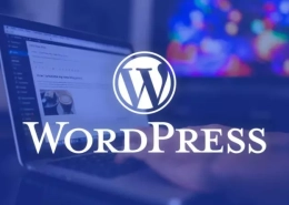 Wordpress – Come Ritardare Il Caricamento Di Un File Js Per Questioni Di Velocità