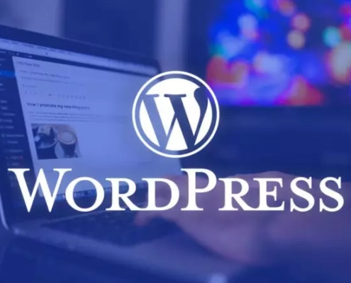 Wordpress – Come Ritardare Il Caricamento Di Un File Js Per Questioni Di Velocità